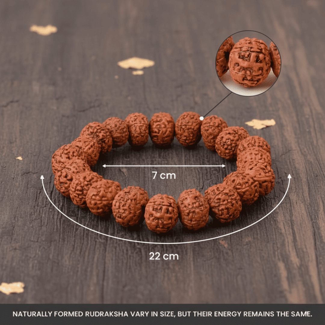 7 Mukhi Rudraksha Bracelet - Energy Booster