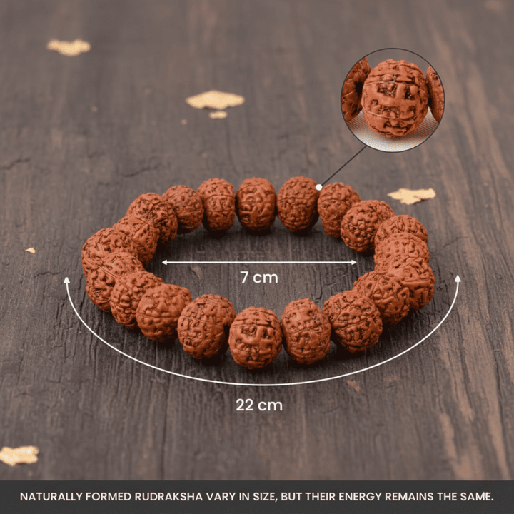 7 Mukhi Rudraksha Bracelet - Energy Booster