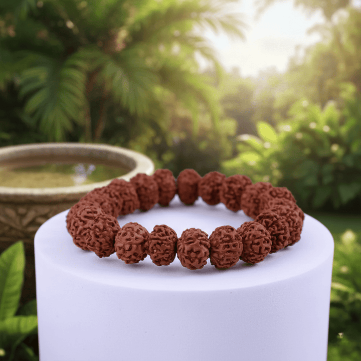 7 Mukhi Rudraksha Bracelet - Energy Booster
