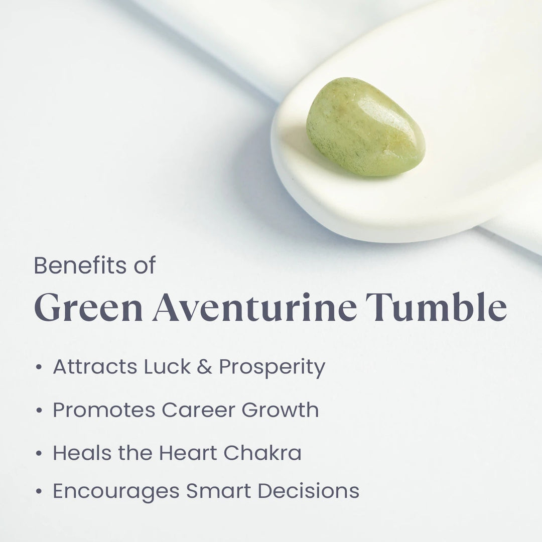 Dhan Yog Tumble Combo