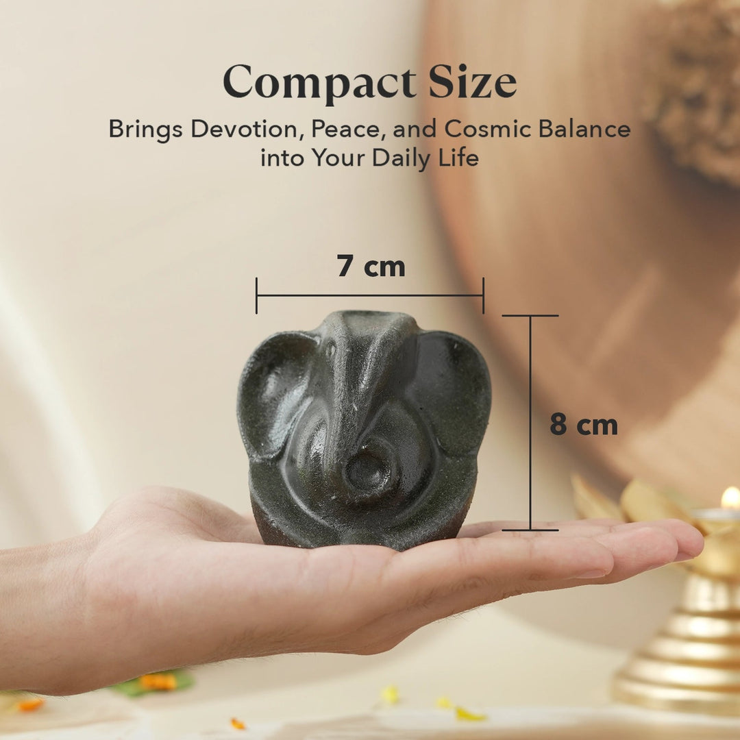 Pyrite Ganesh Ji Idol with FREE Raw Selenite Plate