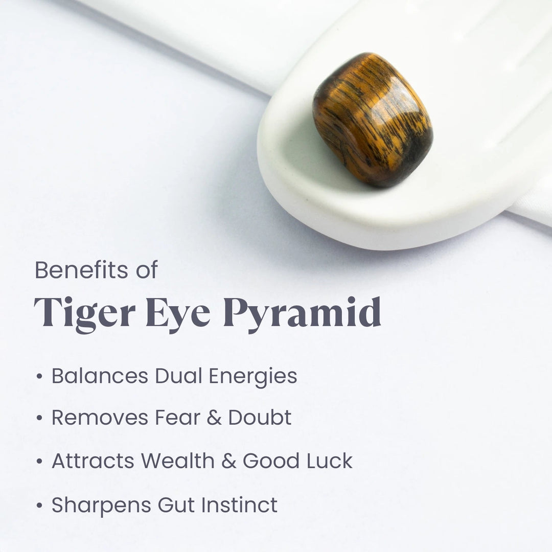 Dhan Yog Tumble Combo