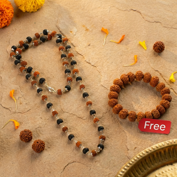 Divya Raksha Rudraksha & Karungali Mala with Silver Capping (Buy 1 Get 1 Free Gift)